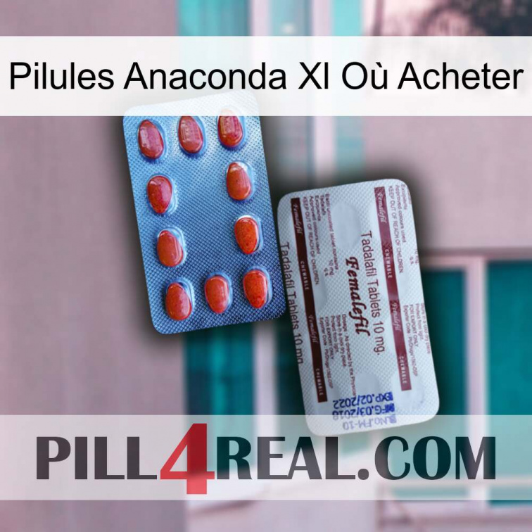 Pilules Anaconda Xl Où Acheter 36